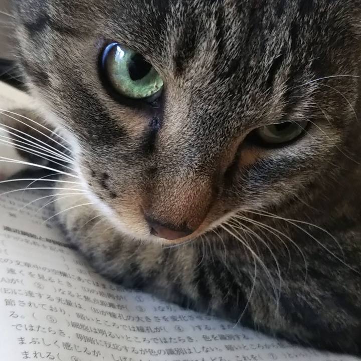 72456173 27e3 4d47 8a14 2af880181af8 1627534608041