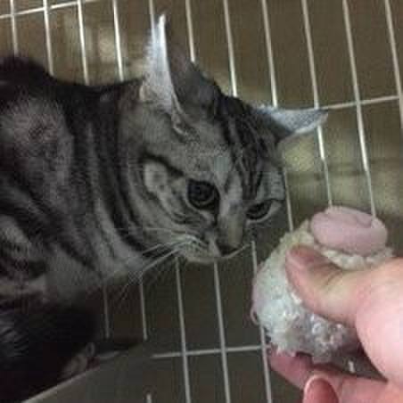 724565fe ef8a 4135 9911 c7d9d3756904 1547639391572