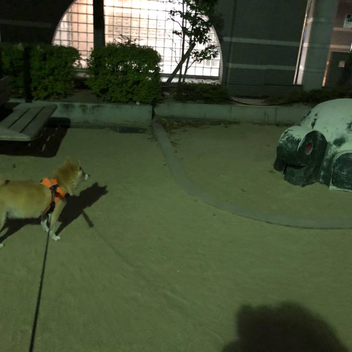 72456a59 765d 4c53 9de3 76a69b10b13a 1574863672477