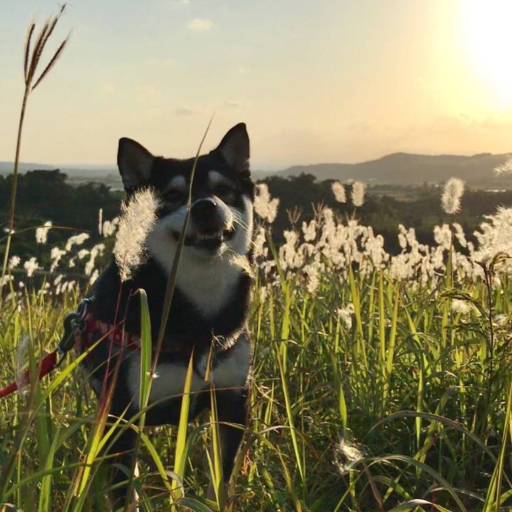 72456c02 3708 4079 abd4 c163cce5cbdc 1522228622745