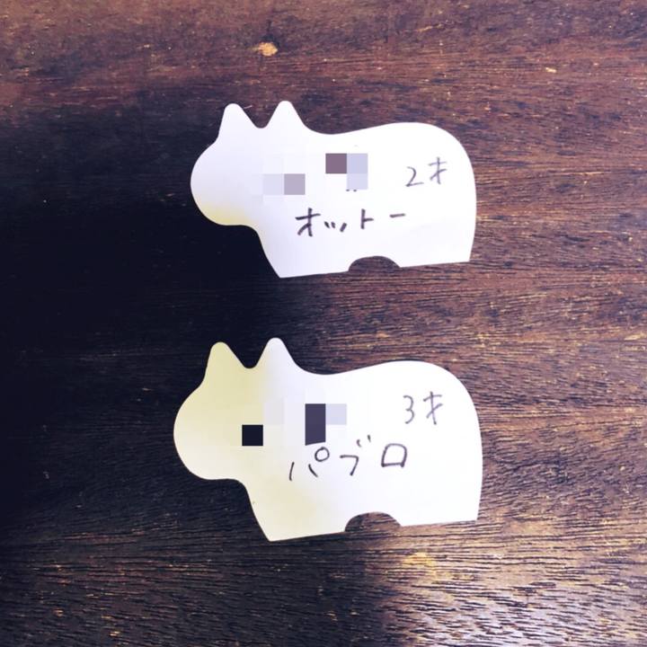 7245c745 dbf6 4148 a99a 5f3a0ba0f4cd 1528809545457