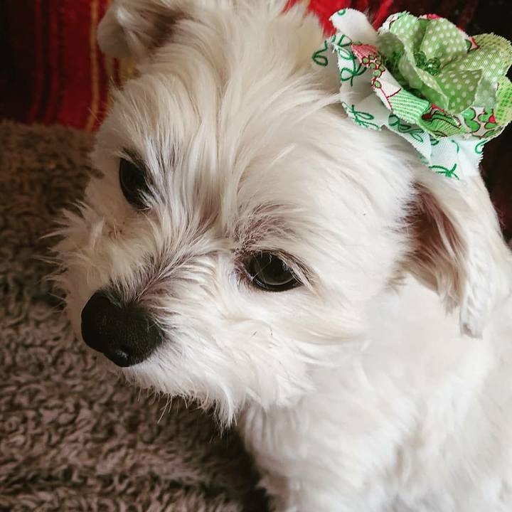 7245d0ea 1396 4451 b55c 209a49584c69 1554685363826