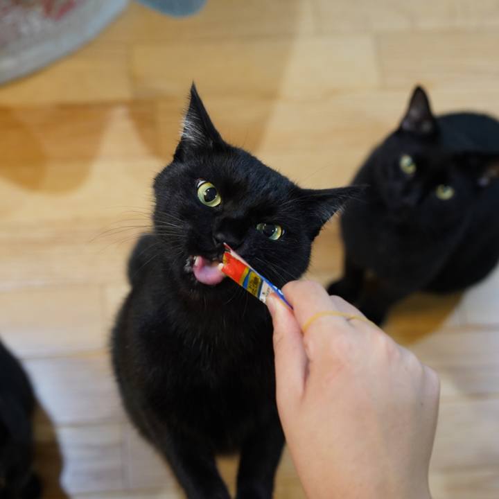 7245dcd1 d9b8 41c6 8a20 5f82c5851cb1 1566429800897