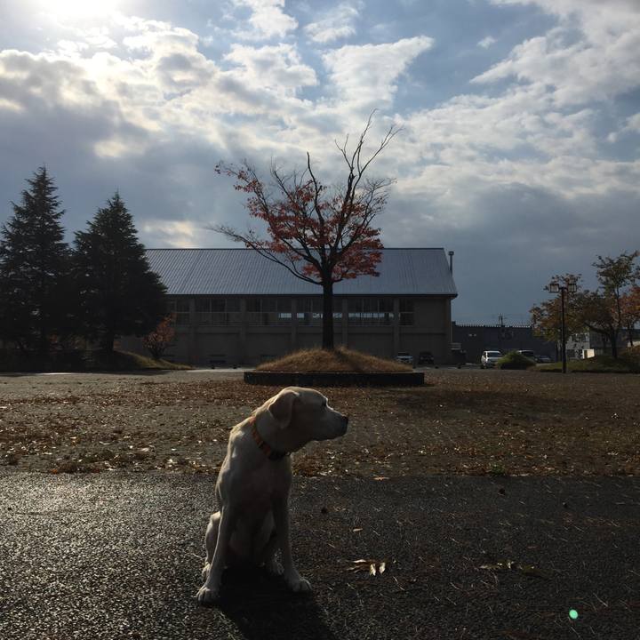 72463e05 4f46 472d b5ec 681db5291c93 1547298341035