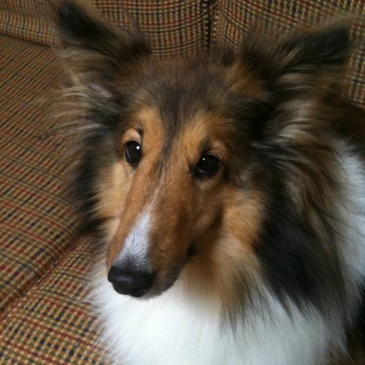 72464675 b271 4bb0 bf05 d3e929d8a955 1517402241571