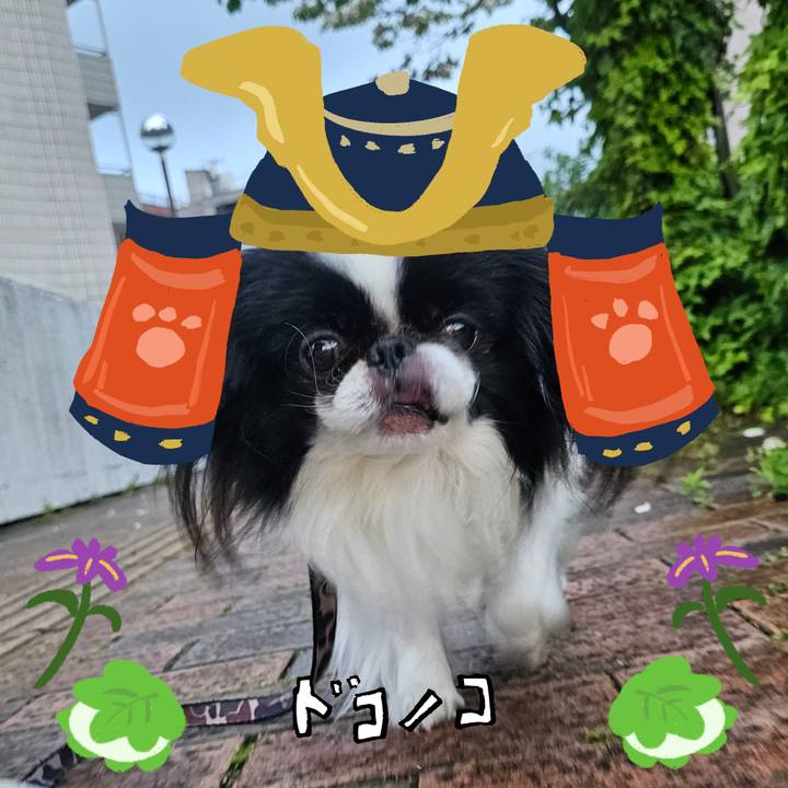 724658ce bb72 4b44 bd38 f1abc8bd6228 1714880294235