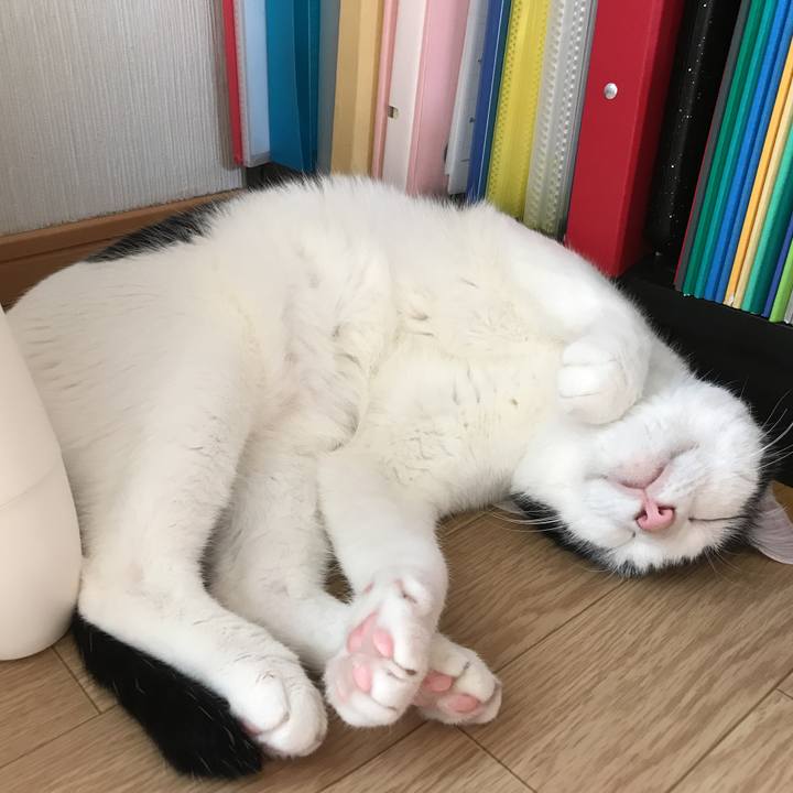 7246747f 10da 4469 8ee9 b81140cf932a 1531448387653