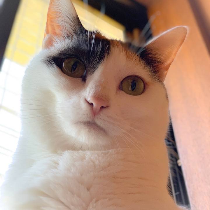 724684e3 2815 46ce 8242 ee6fd39cc7e4 1559612732359