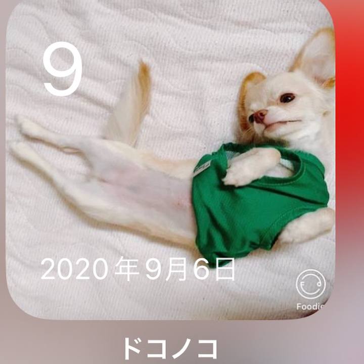 724693fd 088f 4051 a489 346e3fdca1c8 1694238129826