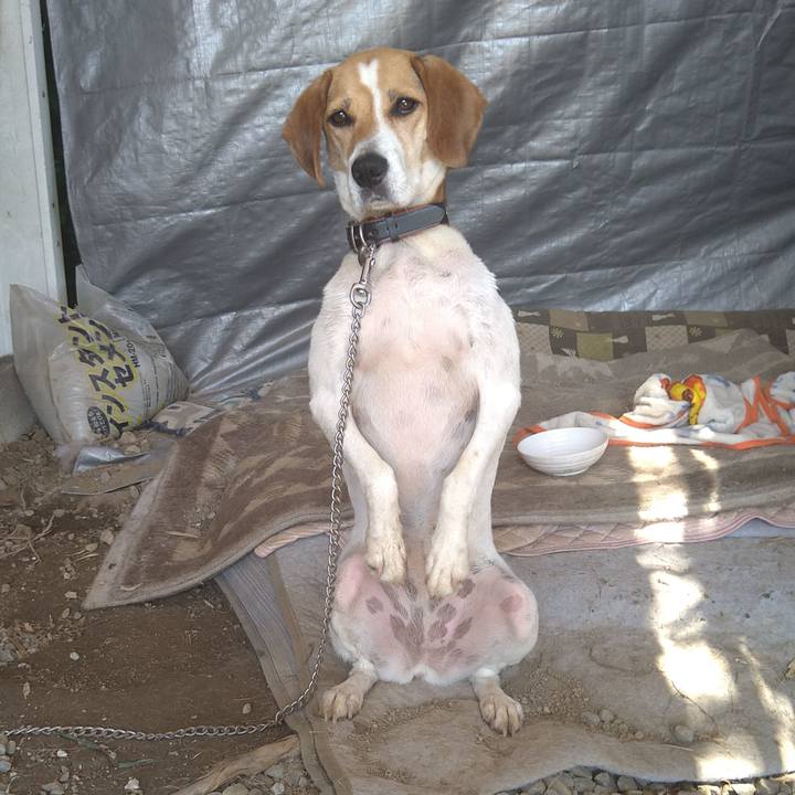 7246c63e 97b4 445f a0d3 0b64254dfa83 1626756475943