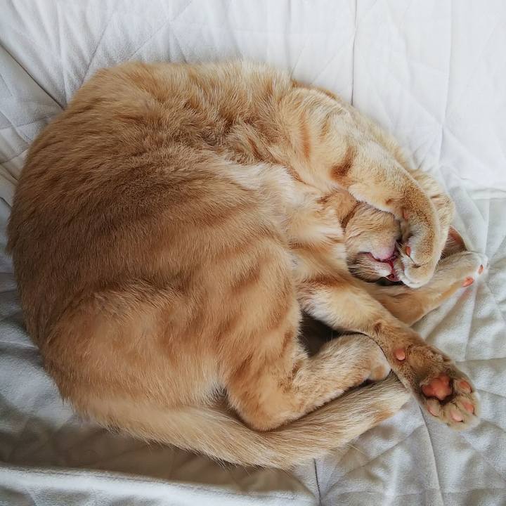 7246cdec ad9c 4f72 ba9d ea0babfe3cc1 1661663628279