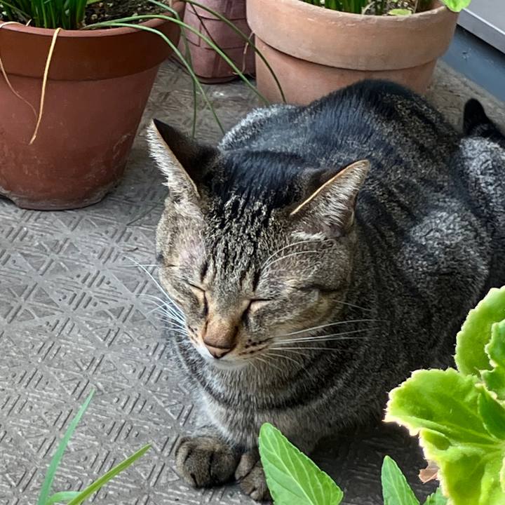 7247519b 1146 4bc4 887f fd6d3bd56fa4 1760223708676