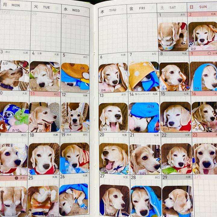 72478c46 c6ab 4195 b9f9 663a893d39a7 1583506500991