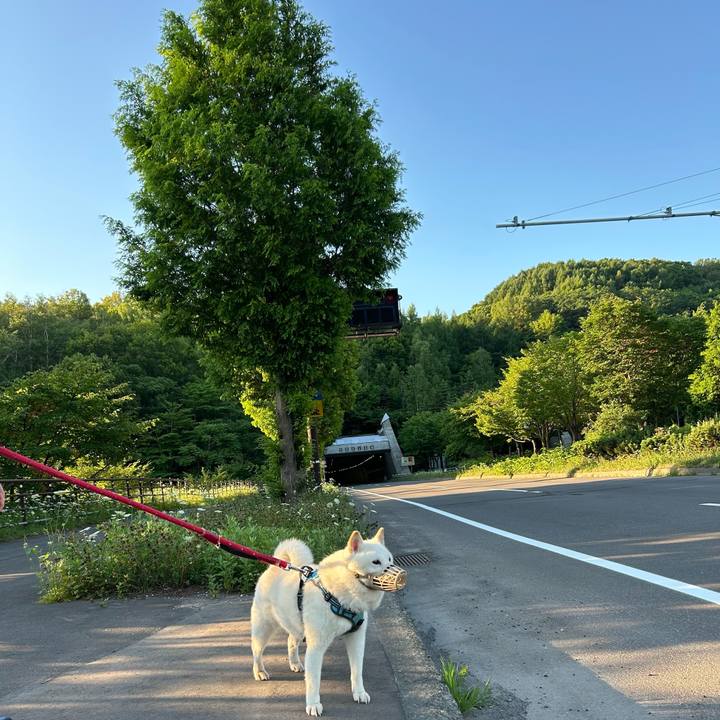 7247b417 4d7d 4102 b50f 4deb2cf87963 1753304147459