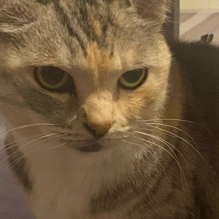 7247d075 ff3a 43d0 8774 9399f7affd7c 1639238609133