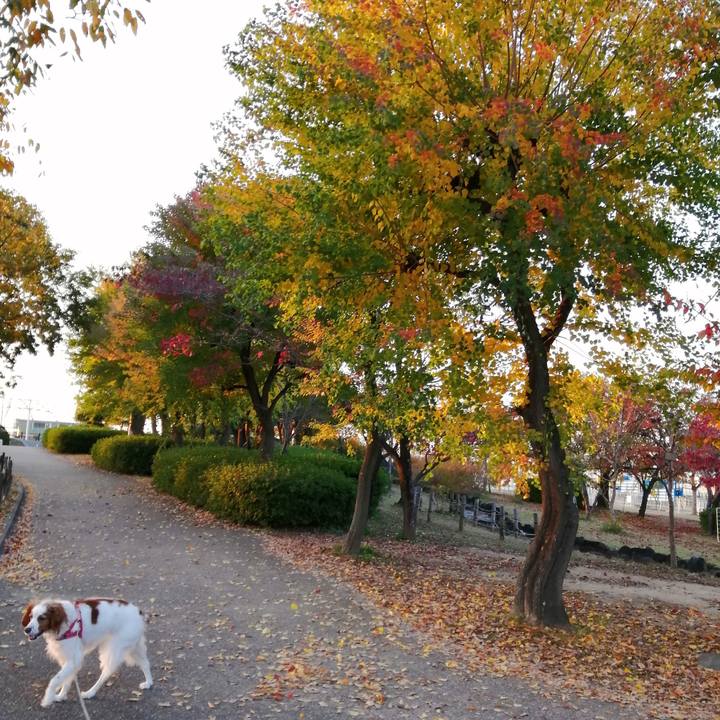 7247d198 aa83 473b ad6a a1e08ef366c4 1605180470514