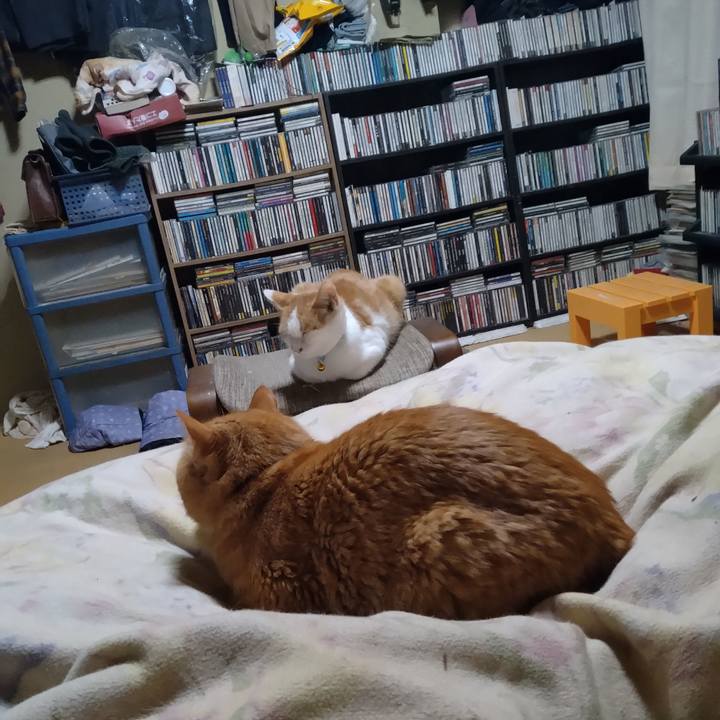 7247e7b2 7bc9 4c8c 8b12 d4d20a4b9399 1734521676743