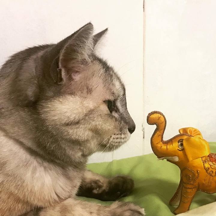 72486ba2 b1ab 4fc3 943a 39a7517564d2 1661353906025