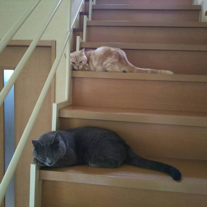 72486f7f cd0a 4641 99ee 7418c0588f9b 1529456609854