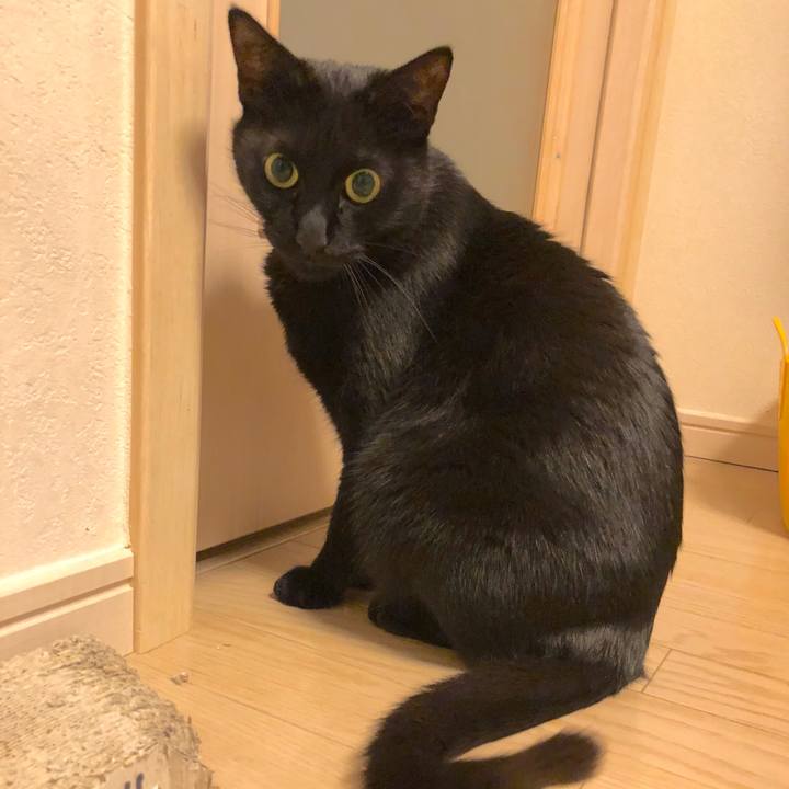 724884a3 901b 4470 9d9a 48cb44297d48 1516974279687