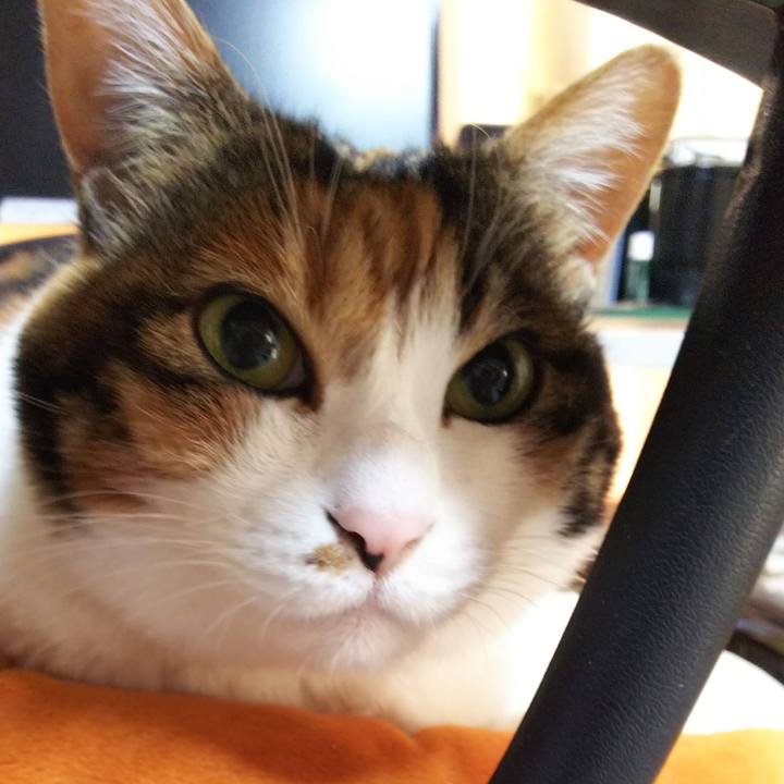 7248a0ee 5be9 41e7 8662 173cfc379310 1546131297910