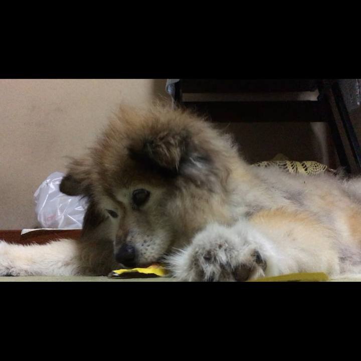 7248a307 5055 4074 bdcb 29702ce472a8 1648251500187