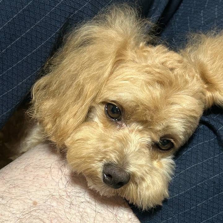 7248a541 5f90 417e b6f8 3a3c88ec217f 1687685296298