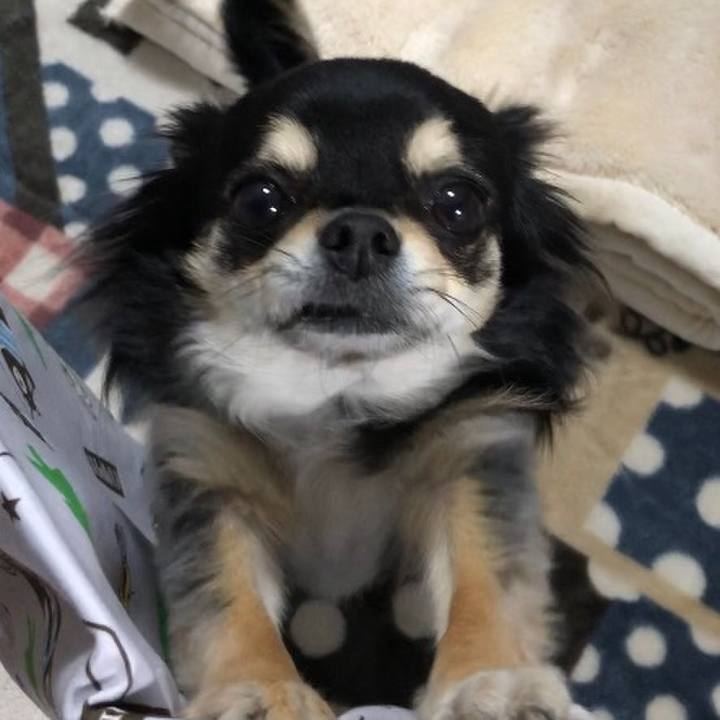 7248bfaa e879 4e89 a474 5c2af857cdc6 1579737967461