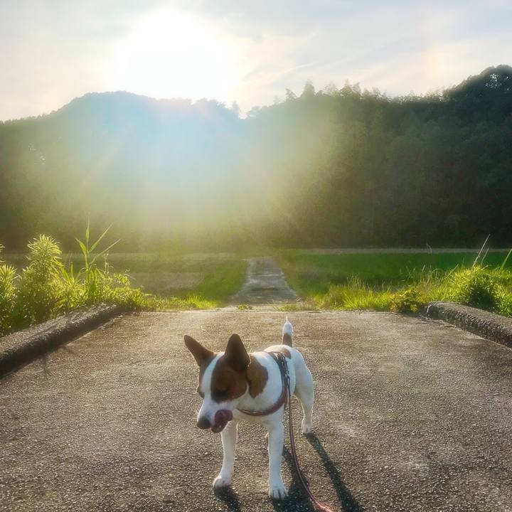 72491bdb 2044 495c 9c6c 42b195a1d336 1529835036261