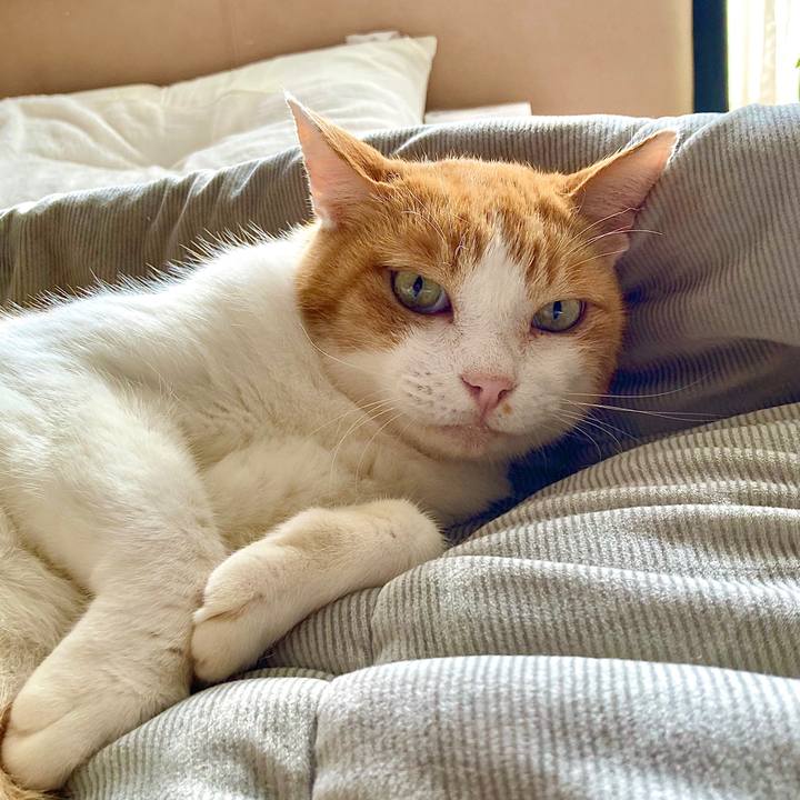 72493cc6 bdcc 4e22 b75a 4cba48ea4cf9 1634184021397