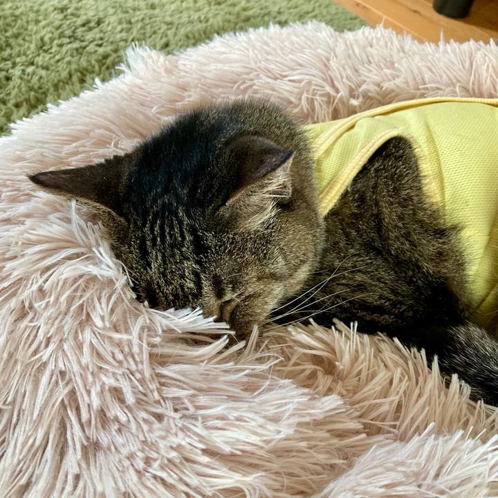 72495fc1 1415 48e7 bf26 17227b777628 1685175114430