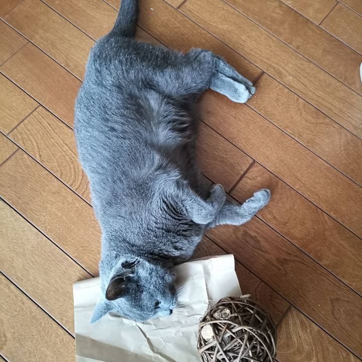 7249685a 9425 4754 9a22 82649310feb5 1601676466032