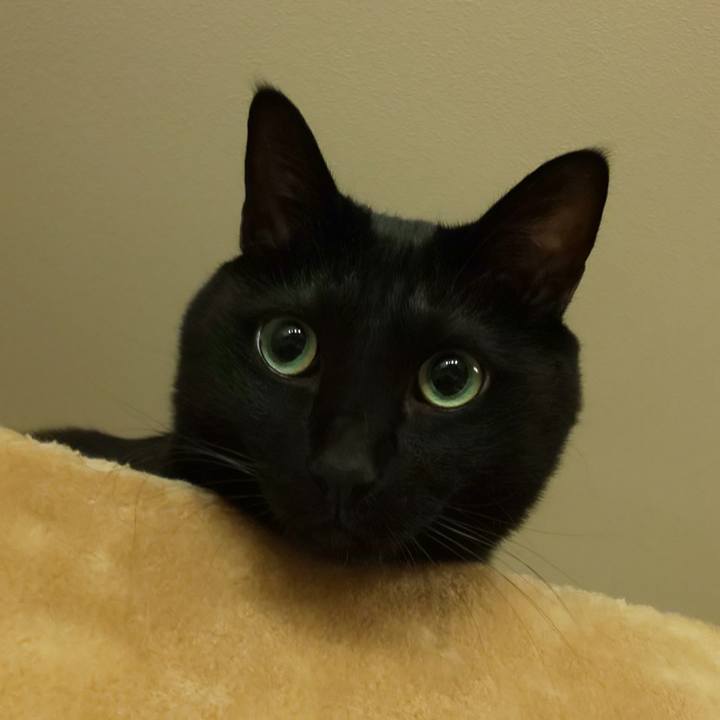 72499215 b992 4daa 9ecc 83ef00df9742 1638762147024