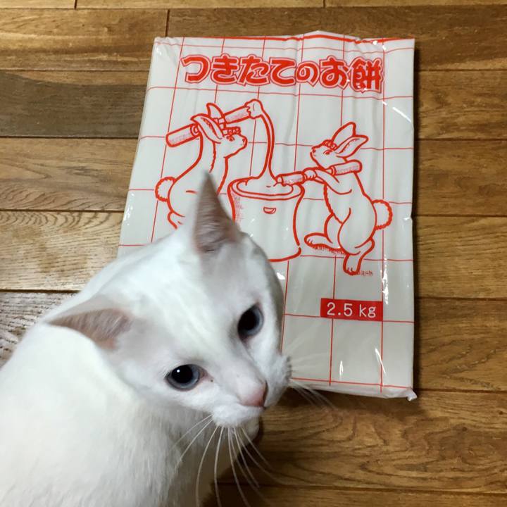 72499986 039e 439d 8e4f c4945ac3739b 1546001224508