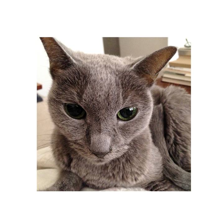 7249db66 c801 405f a268 8c2763825350 1616386865177