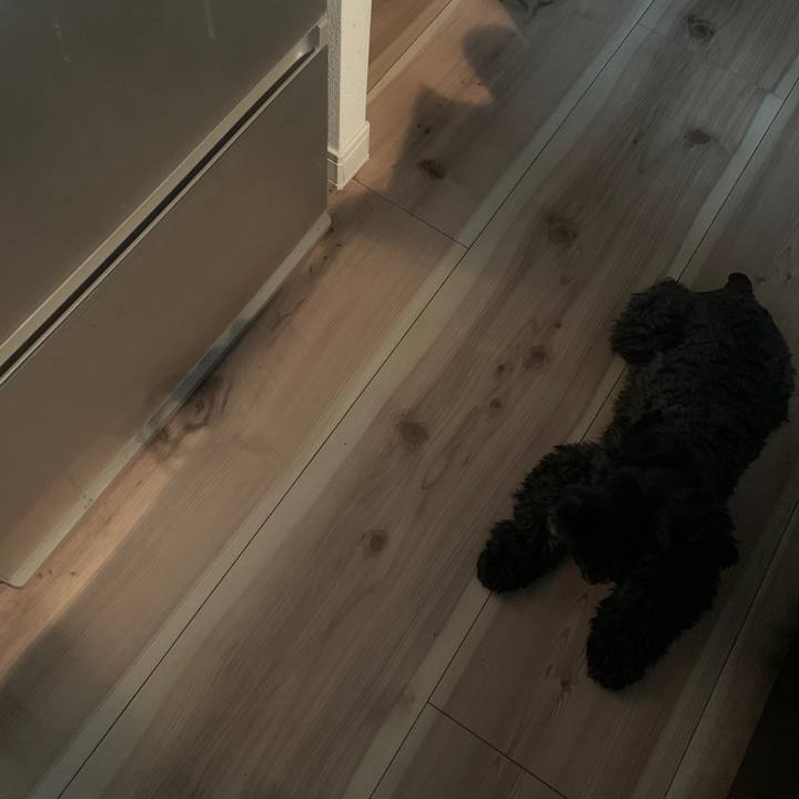 724a04b3 c0fa 4692 9e33 64e98f3200ff 1631667341664