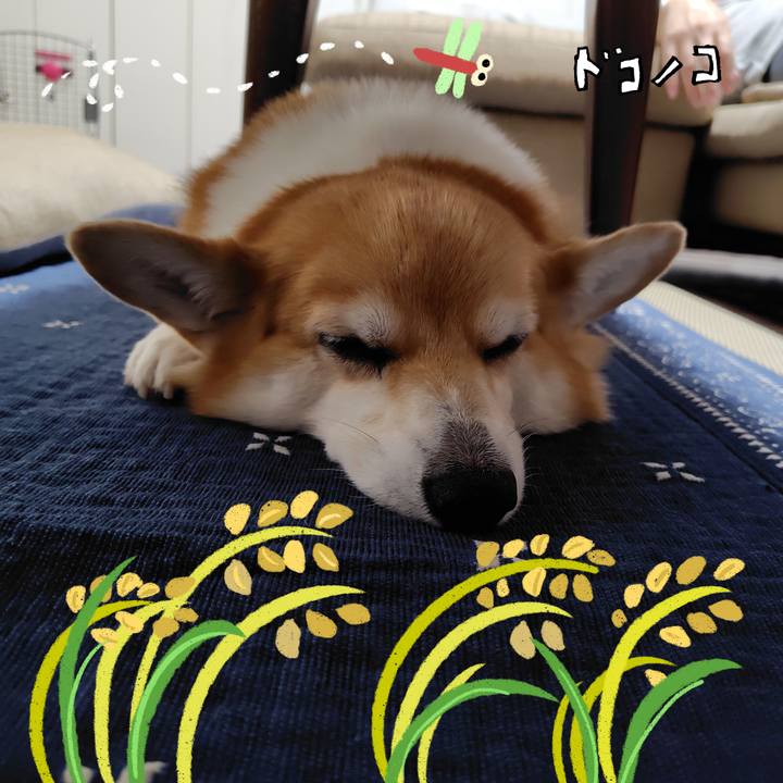 724a116c 016c 4e56 bce4 e9457e49f00b 1761479847171