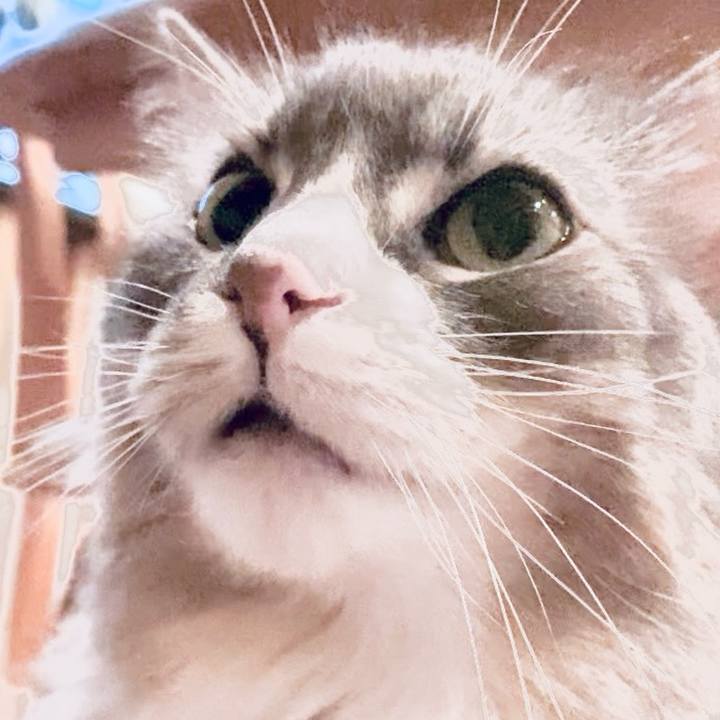 724a5fe4 618b 4535 97d9 57becd77a9ef 1757087504411