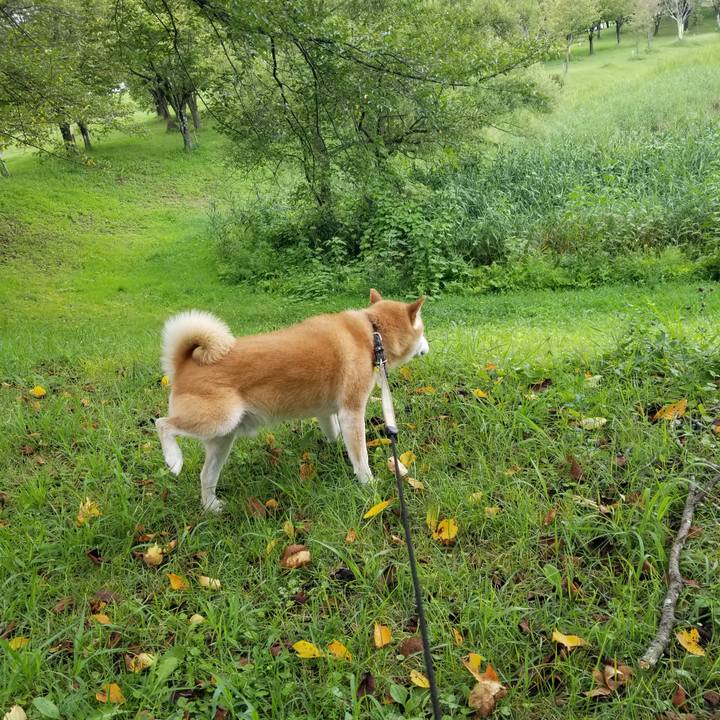 724a6d3f efd9 4851 8f5b 46f6aa13c26f 1661574620255