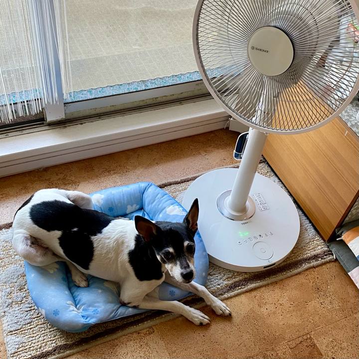 724ad5dd f0a8 4c3c 8d9d be2f6ab9e441 1622463787397