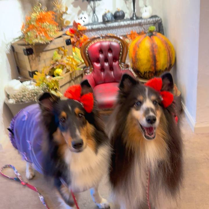 724af9eb c7cf 4fae 8cc9 6fb8a96a4480 1761929287931