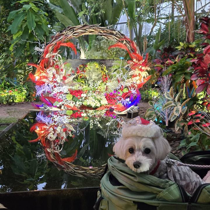 724b67fd 4ef0 49f8 80b5 8e2fb31897b0 1765678535055