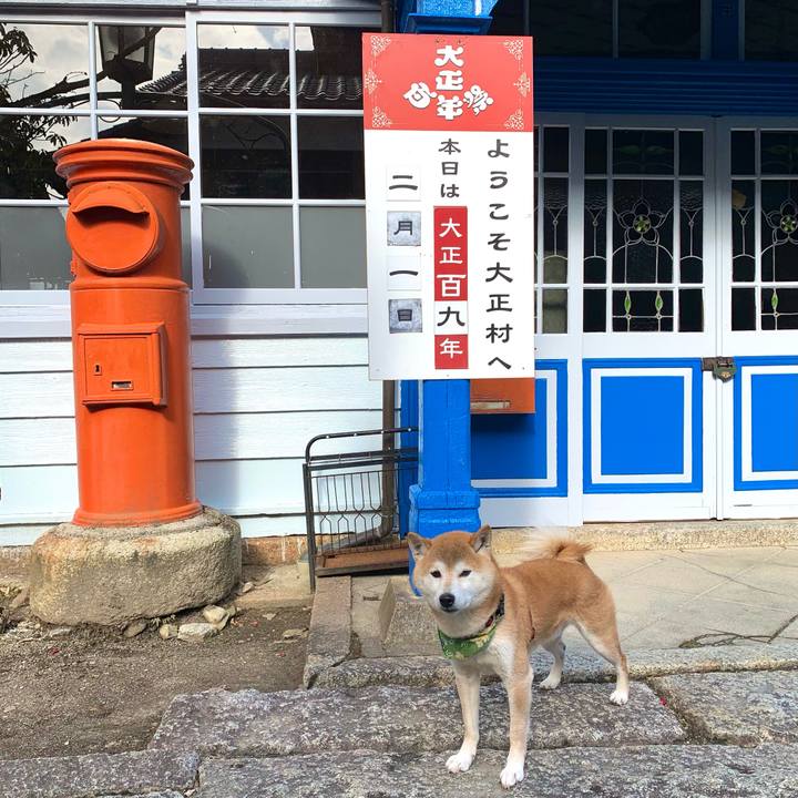 724b7241 e42e 45aa bf8c a5fb4b49a1c4 1612167041176