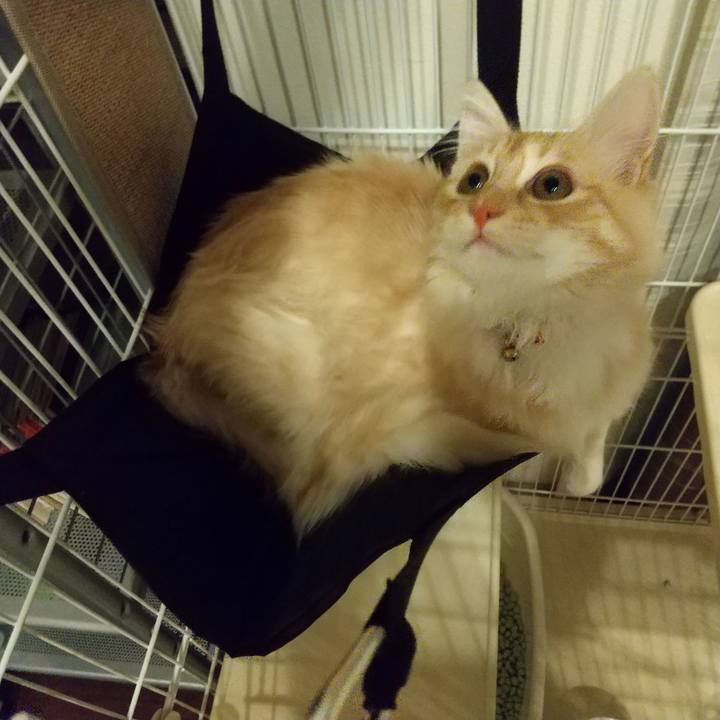 724b8df2 1f47 403d 840d b9bc511222a1 1615290494115