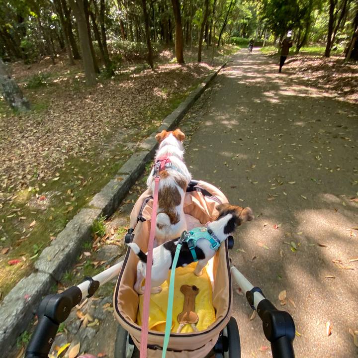 724ba398 b5dd 4582 8cc2 28e5fdad876d 1745742114354