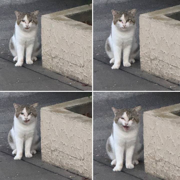 724bd29b 2d01 4b10 9136 8de4aff0d56f 1756347777088