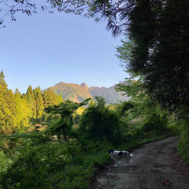 724bd4f3 ef56 4275 8d69 0f2a2fce7bb0 1556948421790