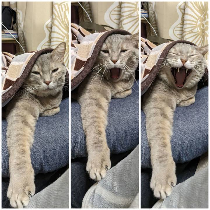 724be36f e581 4aee a962 0fbe8b471414 1671616833888