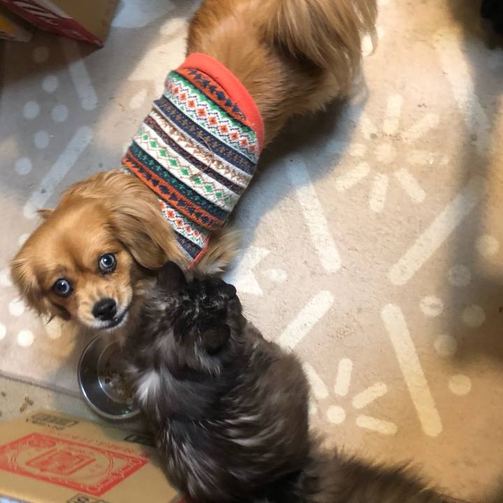 724c7882 84bc 47c8 a38a 3eee3e381f77 1546898006018