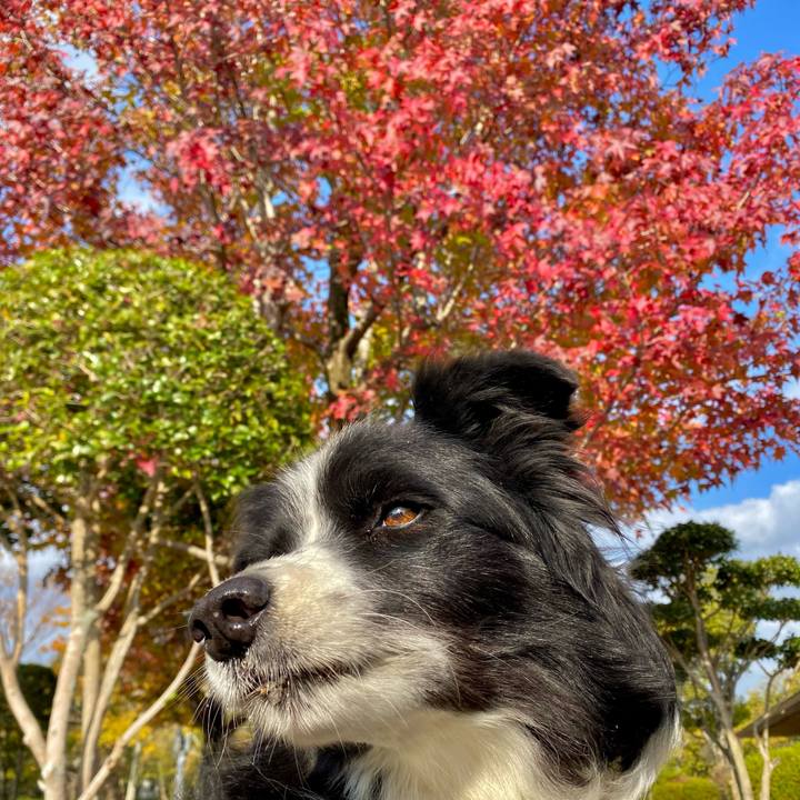 724ca668 bad7 40a3 b6b8 74ba853dd2f0 1635901529831